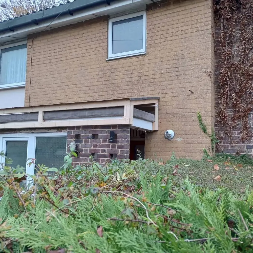 Overgrown roofline before tidy up and repair
